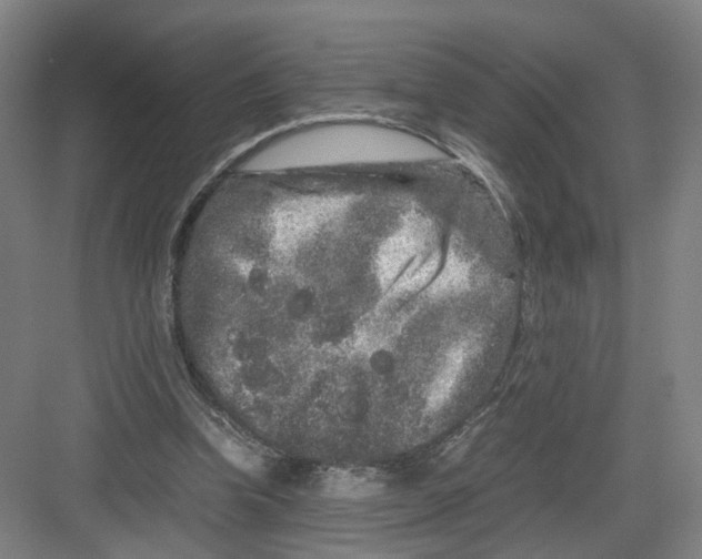 X0000082200346200702170024