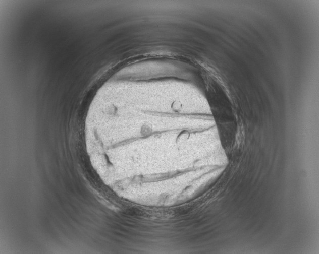 X0000082200347200702170024