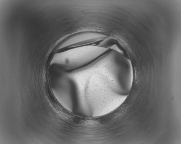 X0000082200348200702170024