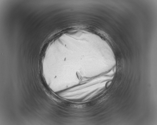 X0000082200349200702170024