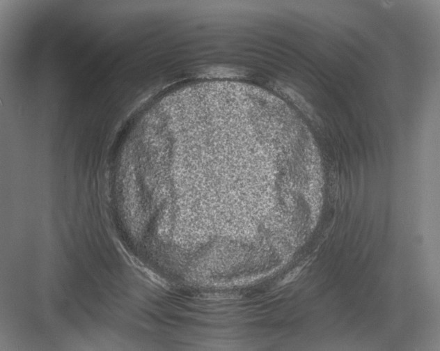 X0000082200351200702170024