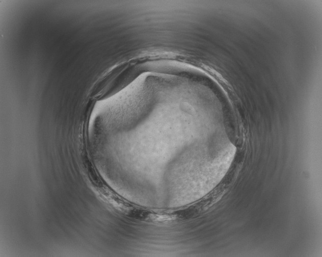 X0000082200352200702170024