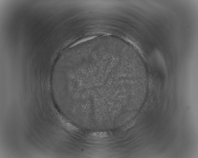 X0000082200353200702170024