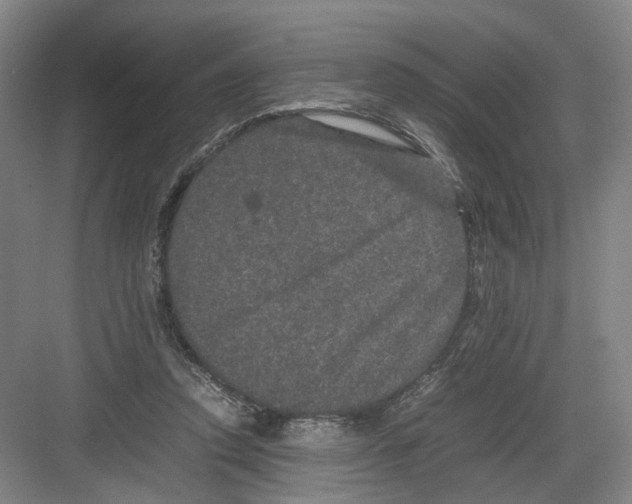 X0000082200354200702170024