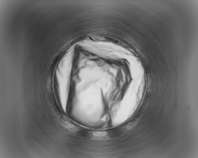 X0000082200355200702170024