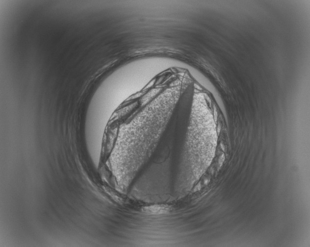 X0000082200356200702170024