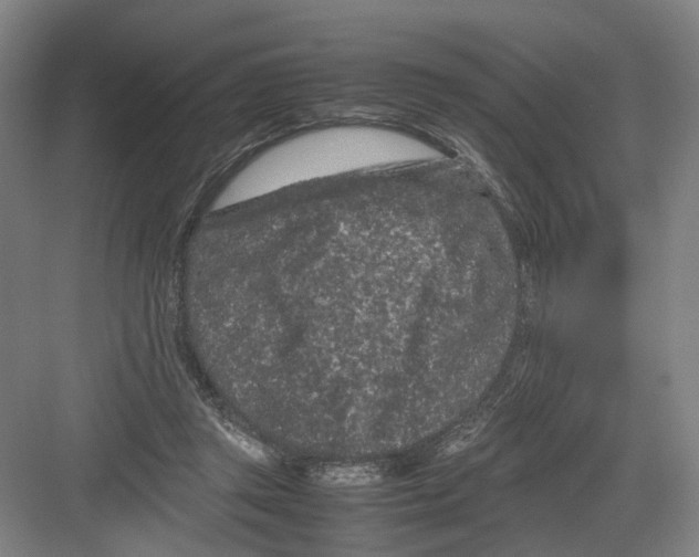 X0000082200357200702170024