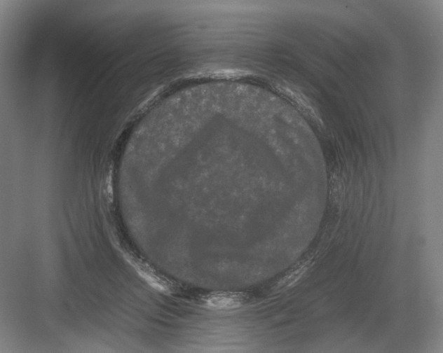 X0000082200358200702170024