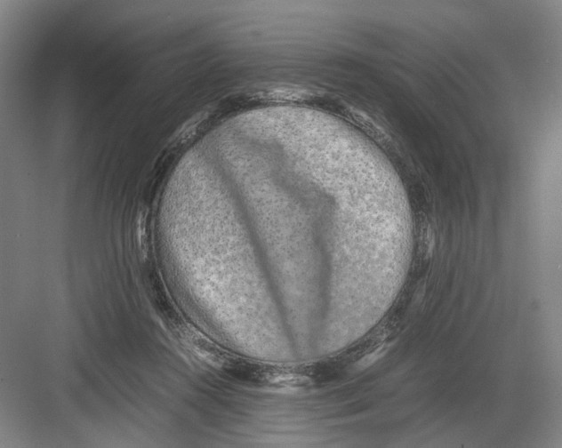 X0000082200360200702170024