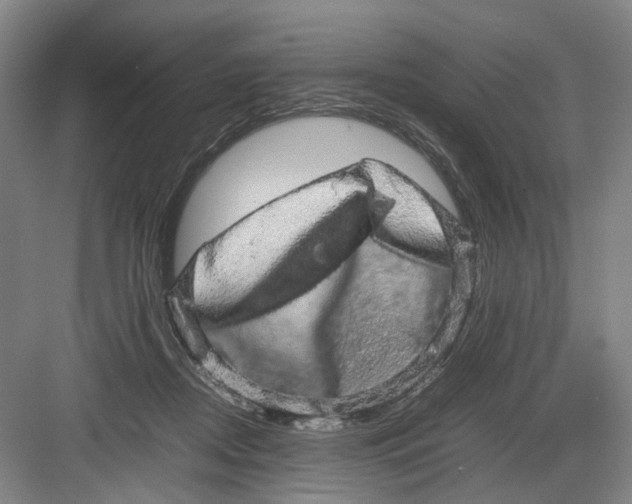 X0000082200362200702170024