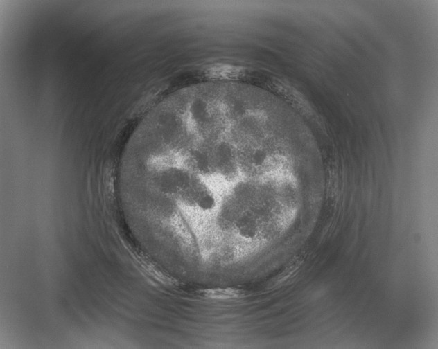 X0000082200363200702170024