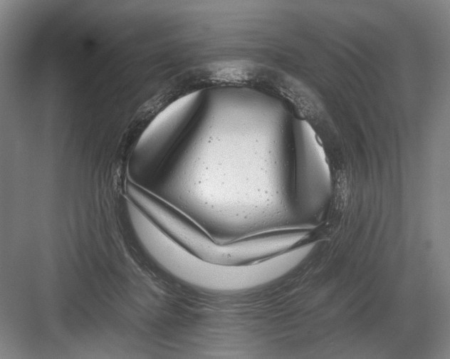 X0000082200364200702170024