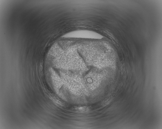 X0000082200365200702170024