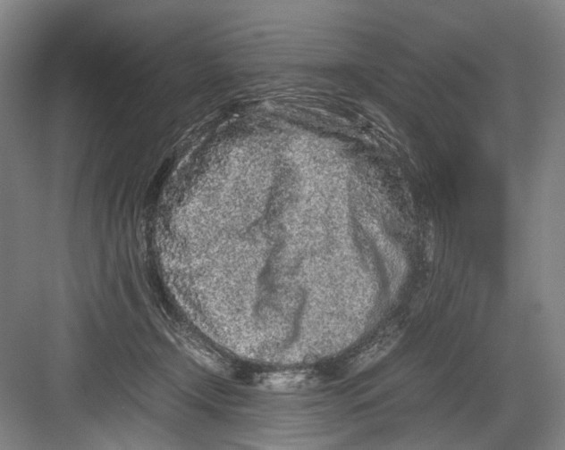 X0000082200366200702170024