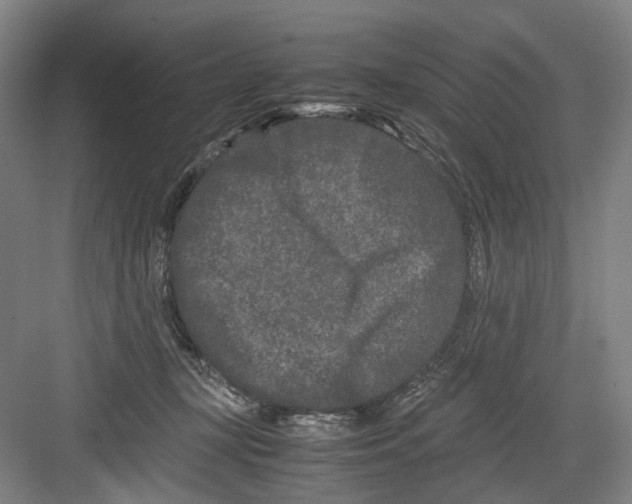 X0000082200367200702170024