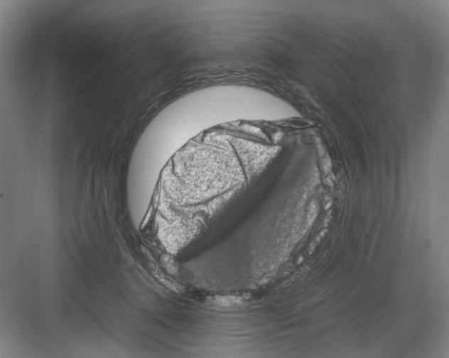 X0000082200368200702170024