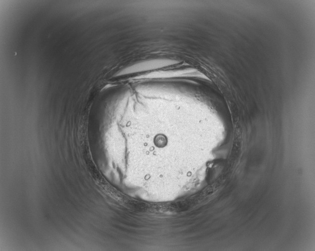 X0000082200369200702170024