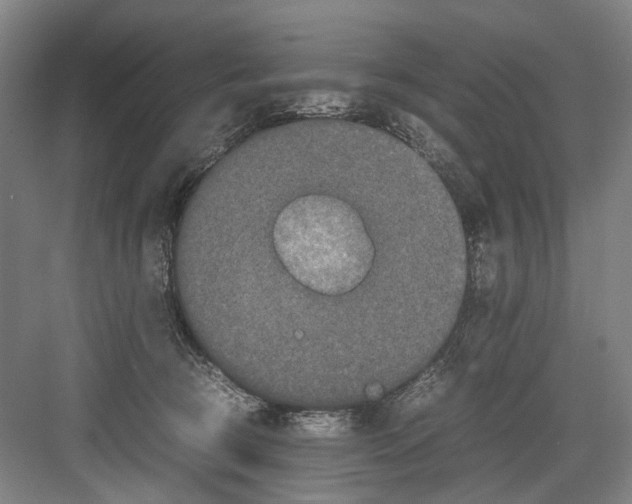 X0000082200370200702170024