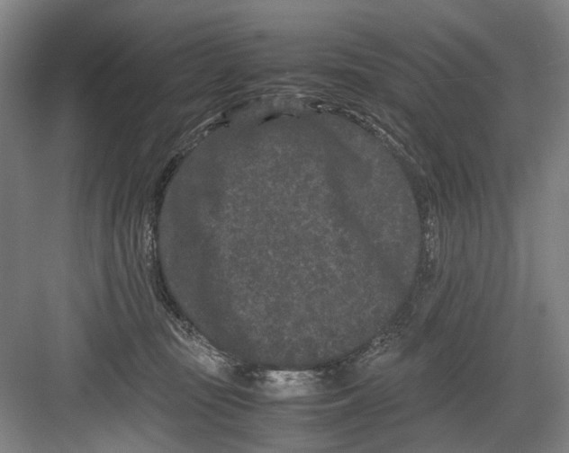 X0000082200371200702170024