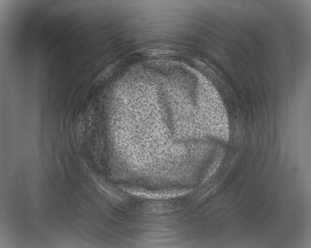 X0000082200372200702170024