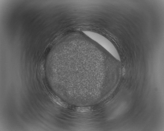 X0000082200373200702170024