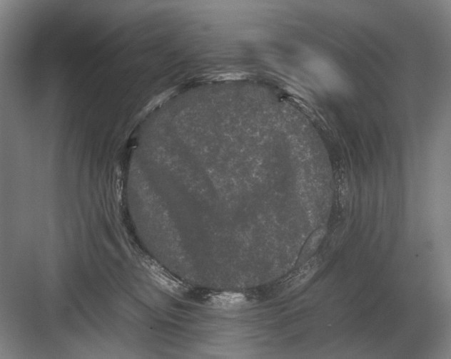 X0000082200374200702170024