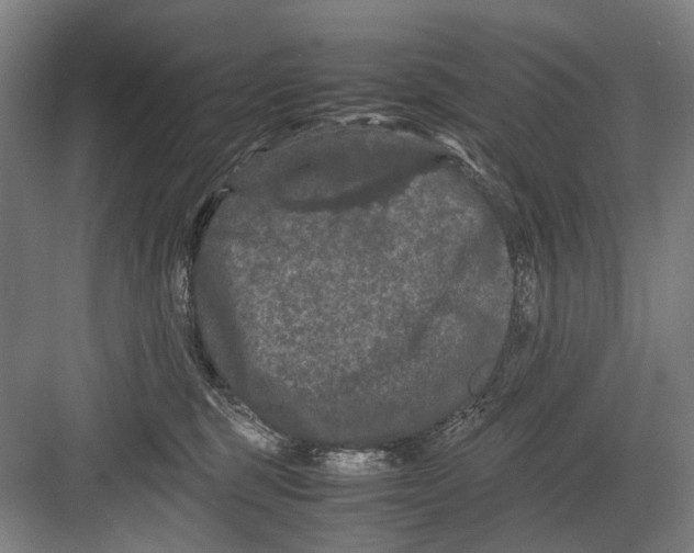 X0000082200375200702170024