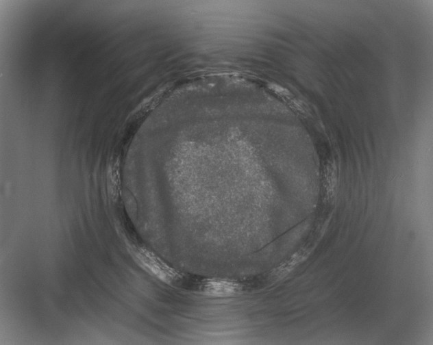 X0000082200376200702170024