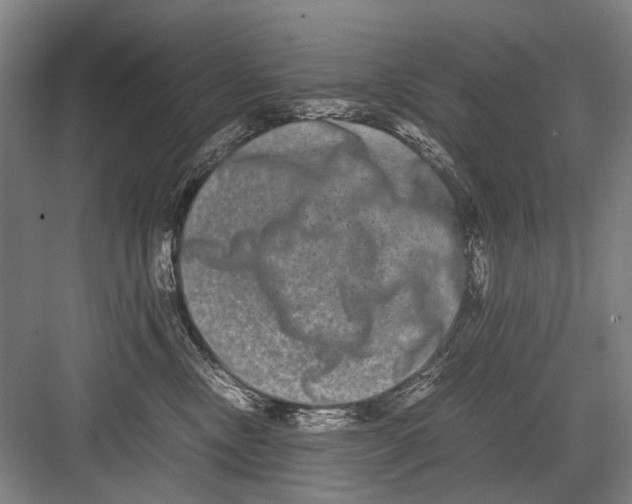 X0000082200378200702170024