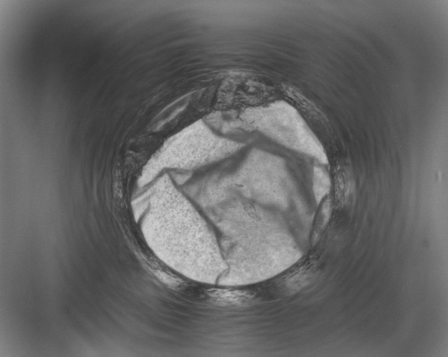 X0000082200379200702170024