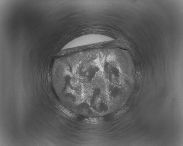 X0000082200381200702170024