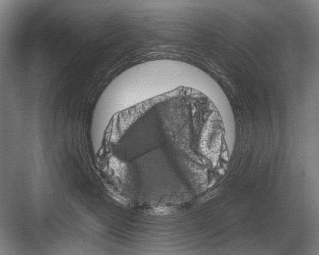 X0000082200382200702170024