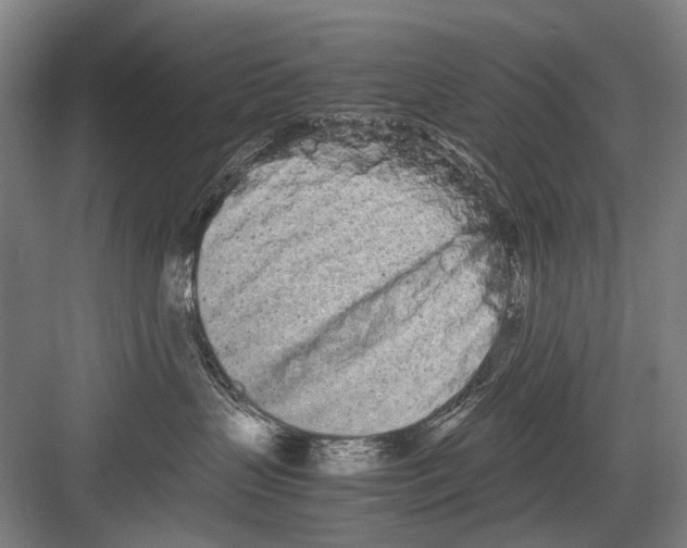 X0000082200383200702170024