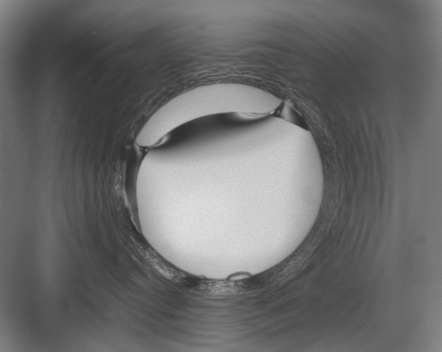 X0000082200384200702170024