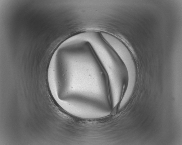 X0000082200385200702170024