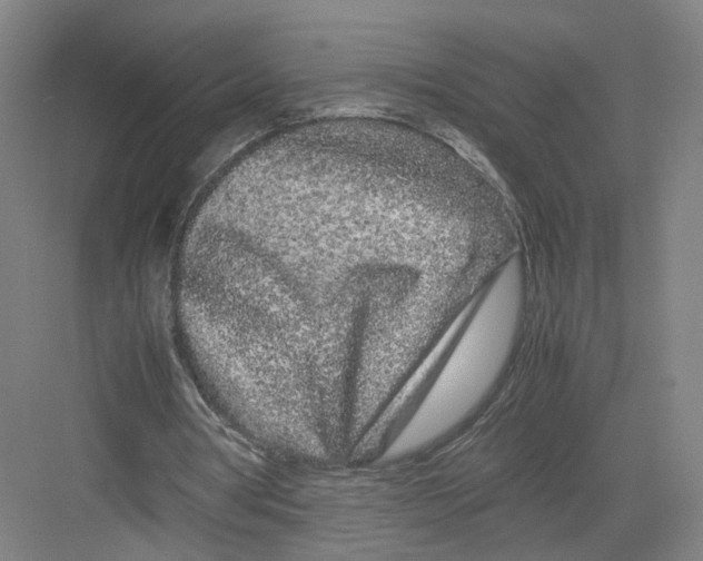 X0000082200386200702170024