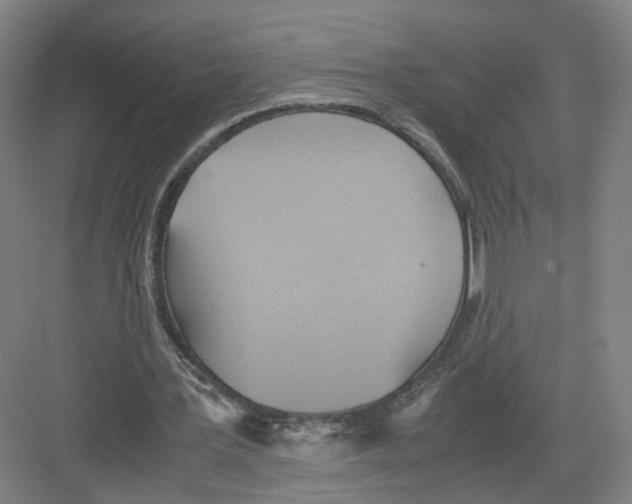 X0000082200387200702170024