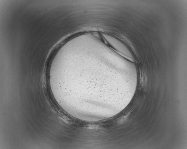 X0000082200388200702170024