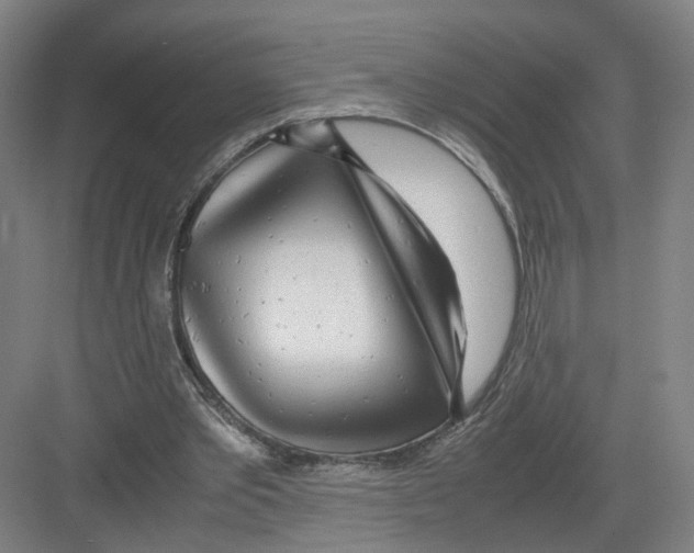 X0000082200389200702170024