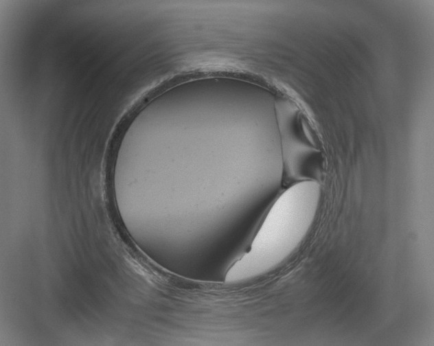 X0000082200391200702170024