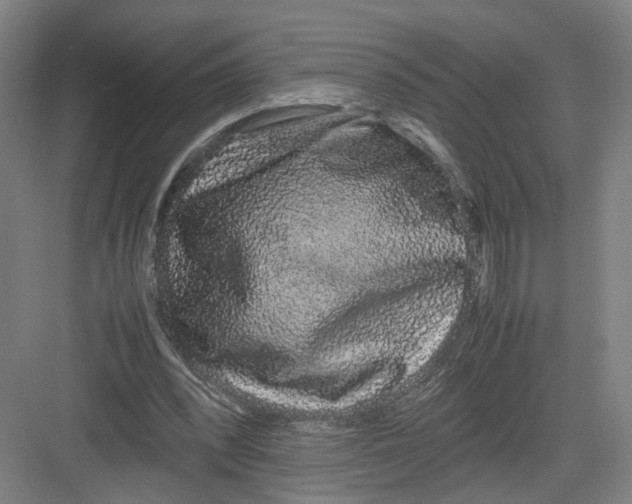 X0000082200392200702170024