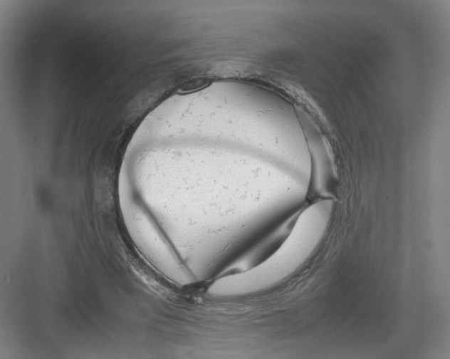 X0000082200393200702170024