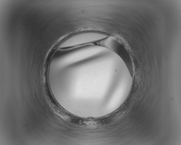 X0000082200395200702170024