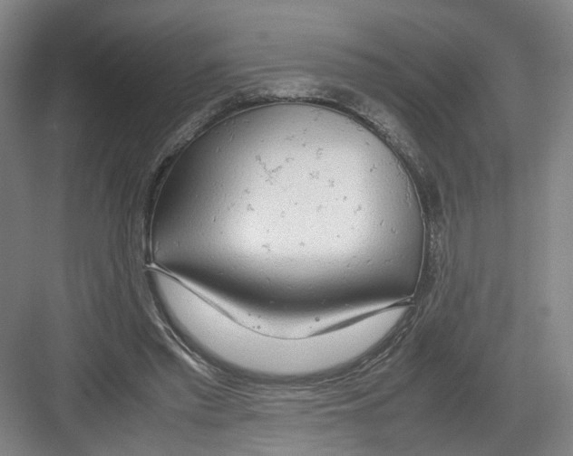 X0000082200397200702170023