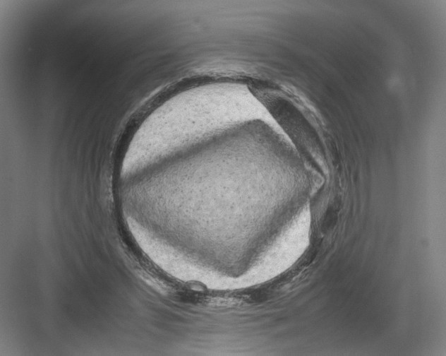 X0000082200399200702170023