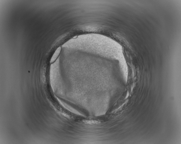 X0000082200400200702170023