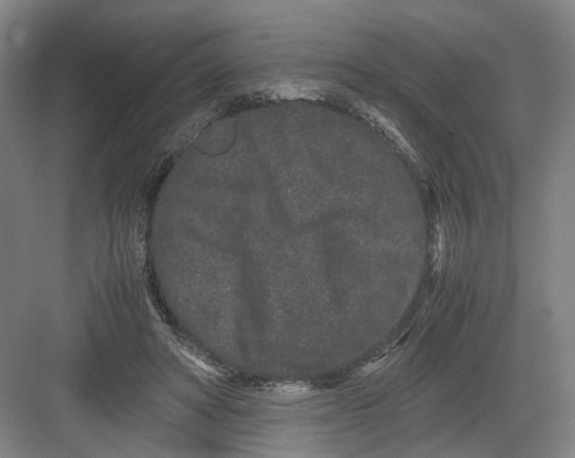 X0000082200402200702170023