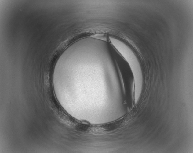 X0000082200403200702170023