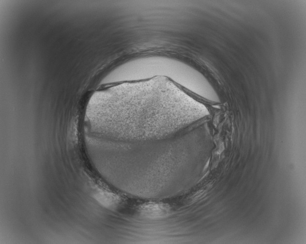 X0000082200404200702170023