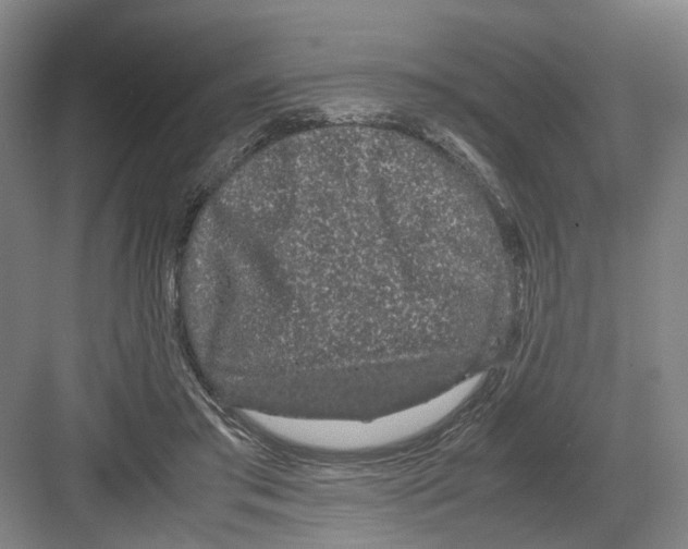 X0000082200405200702170023